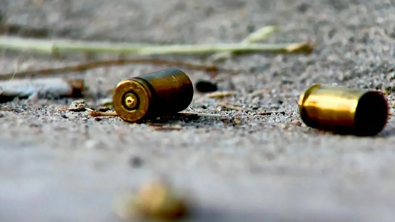 Violent Deaths Reported in Brazil's Amazonas and Piauí